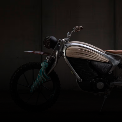 Banner visual for Flying Flea