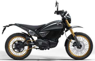 S6 electric motorcycle logo in website