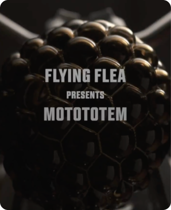 Mask group (41)m Mask group (41)m